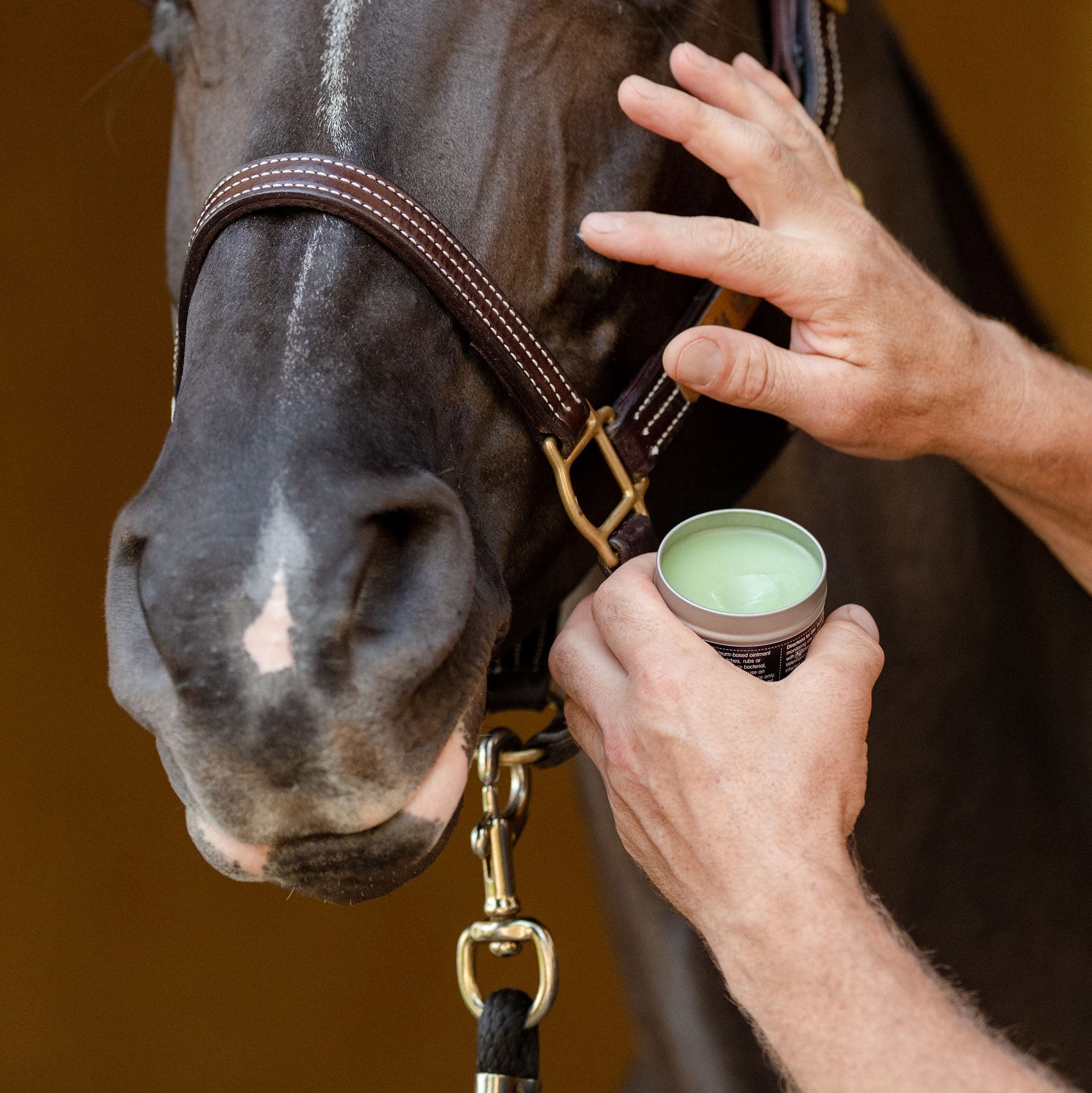 EquiFit AgSilver CleanBalm™ - EquiFit - Equiluxe Tack