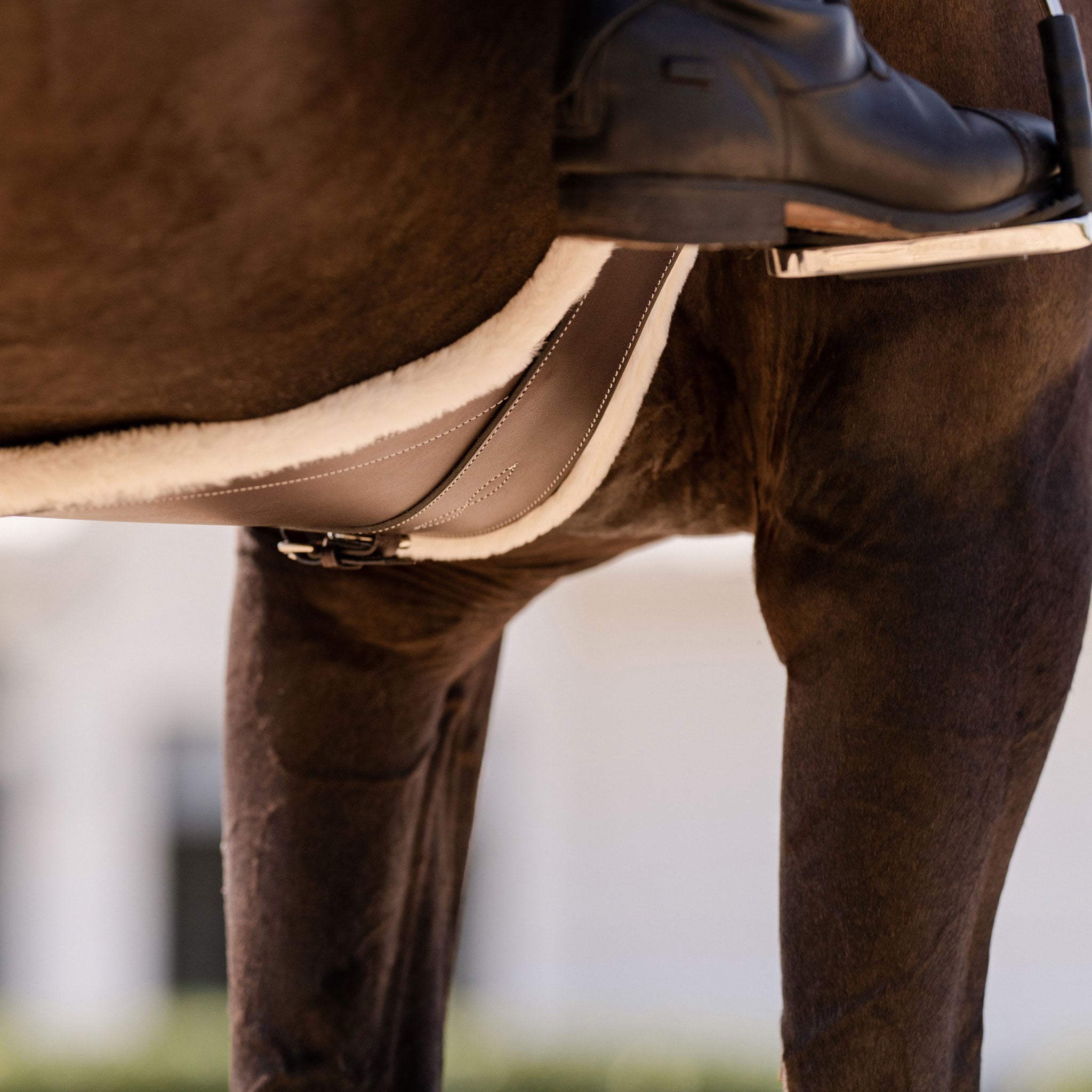 EquiFit Anatomical BellyGuard with UltraWool™ T - Foam™ - EquiFit - Equiluxe Tack