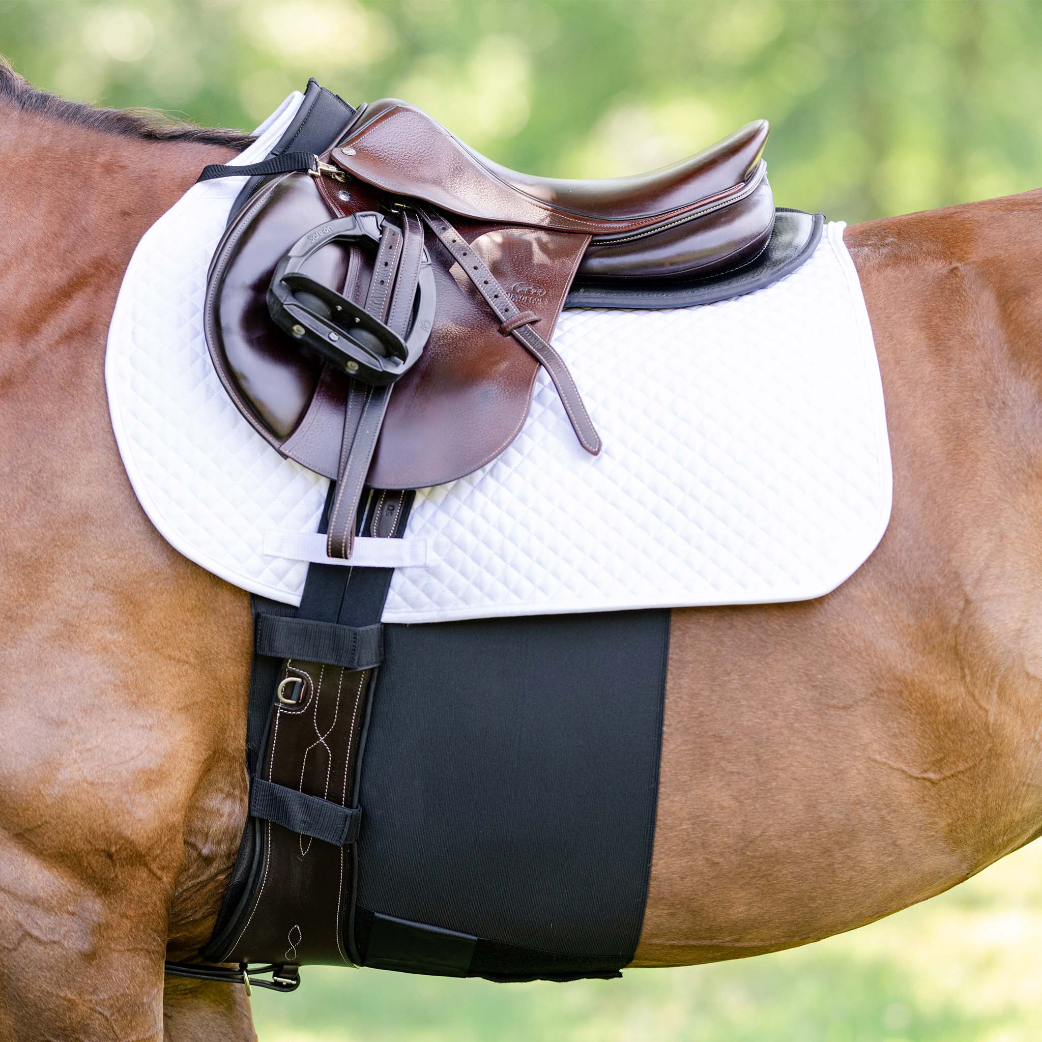 EquiFit BellyBand+™ - EquiFit - Equiluxe Tack