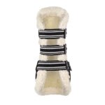 EquiFit® D - Teq™ Front Boot - EquiFit - Equiluxe Tack