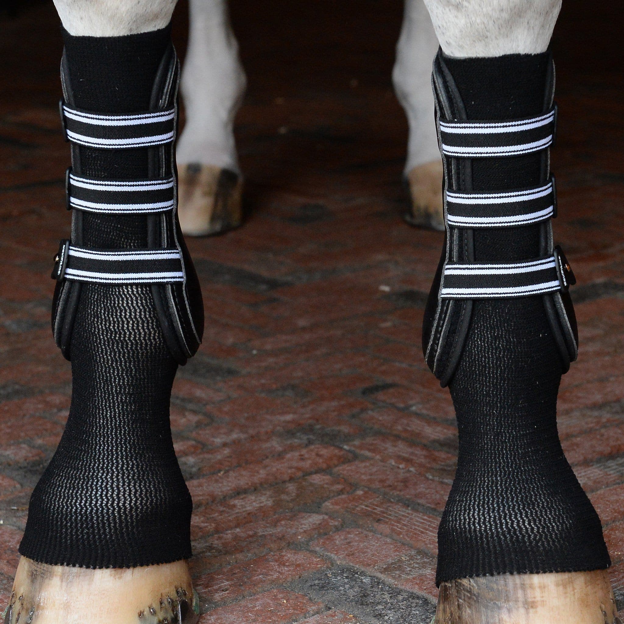 EquiFit® GelSox™ for Horses - EquiFit - Equiluxe Tack