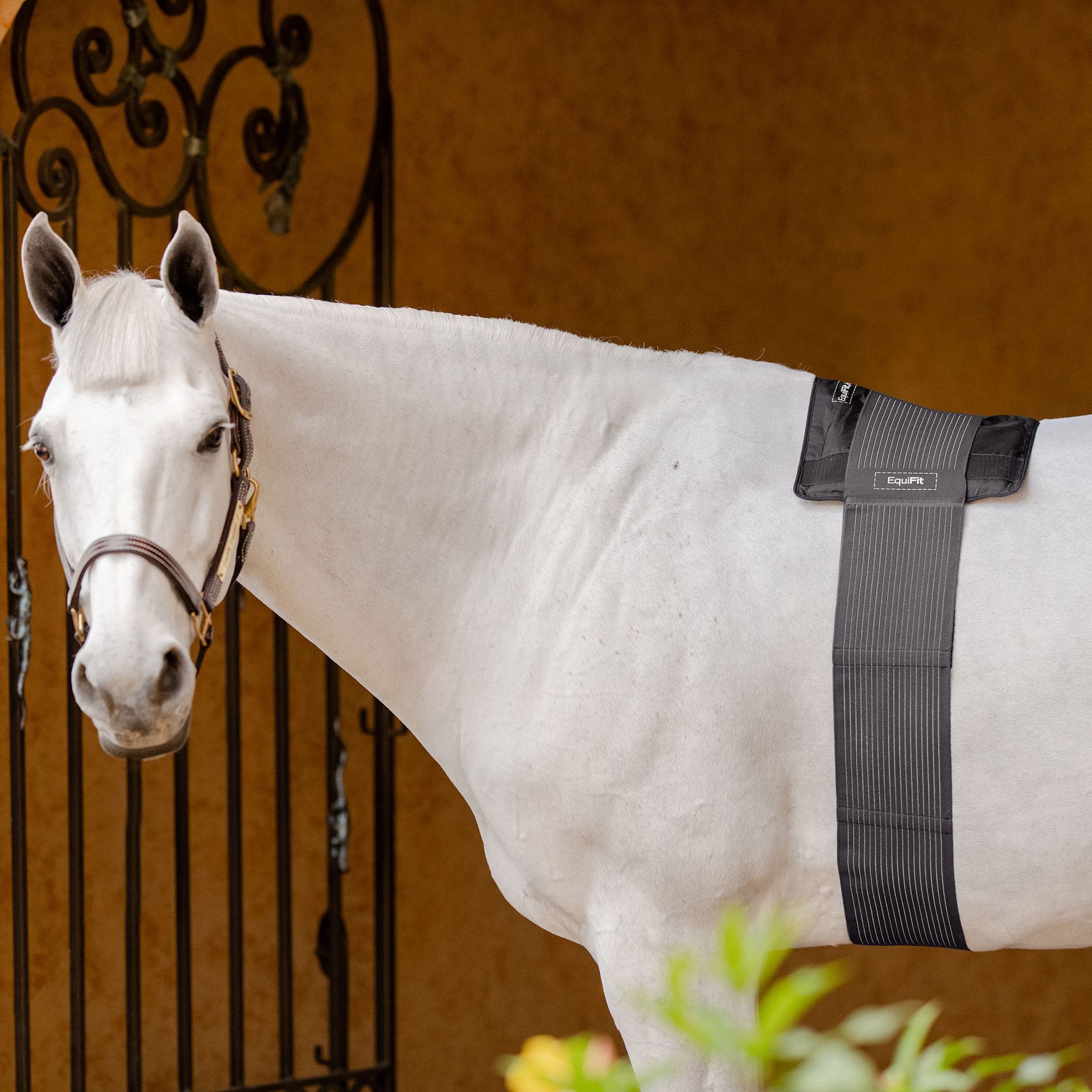 EquiFit® Hot/Cold Therapy BackPack™ - EquiFit - Equiluxe Tack