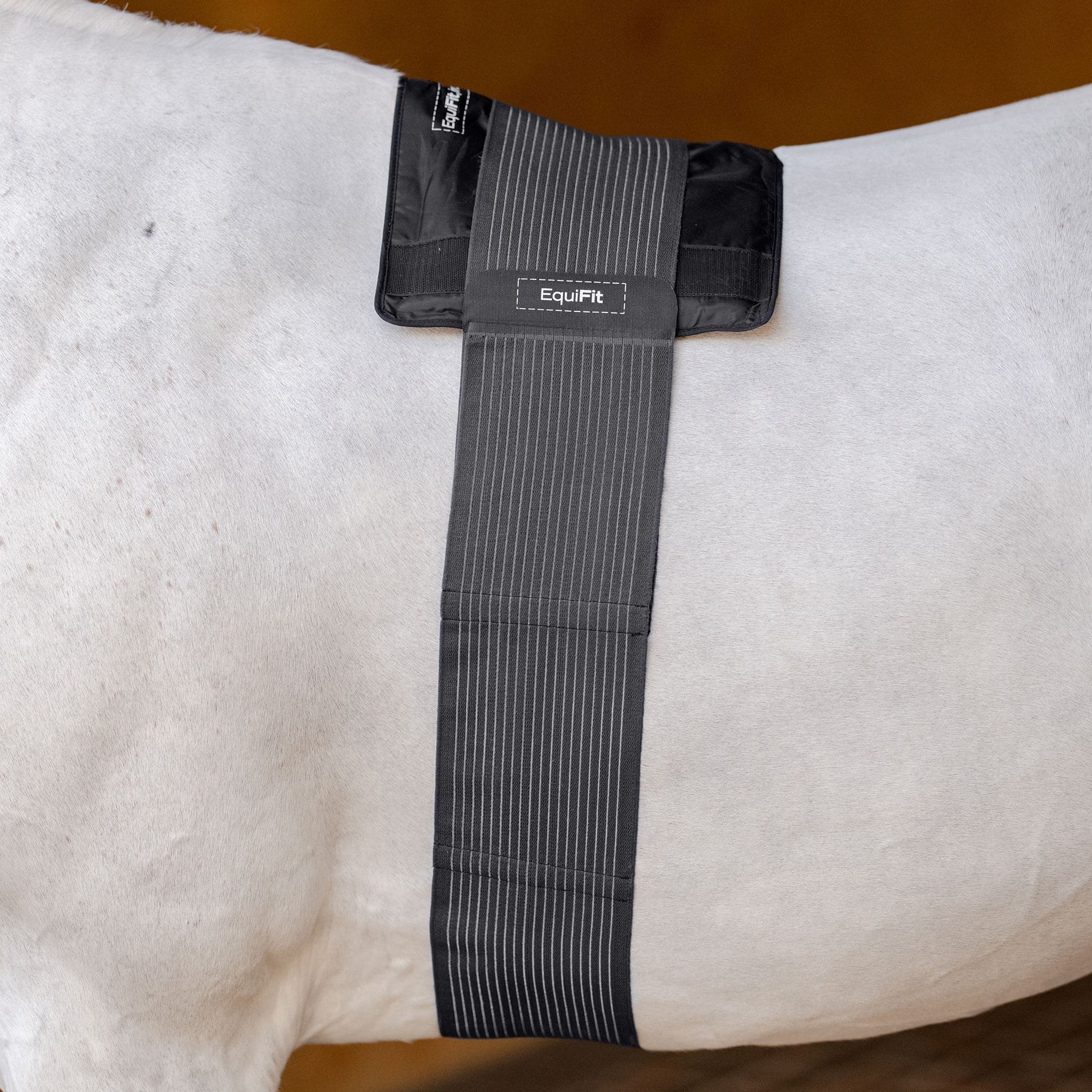 EquiFit® Hot/Cold Therapy BackPack™ - EquiFit - Equiluxe Tack