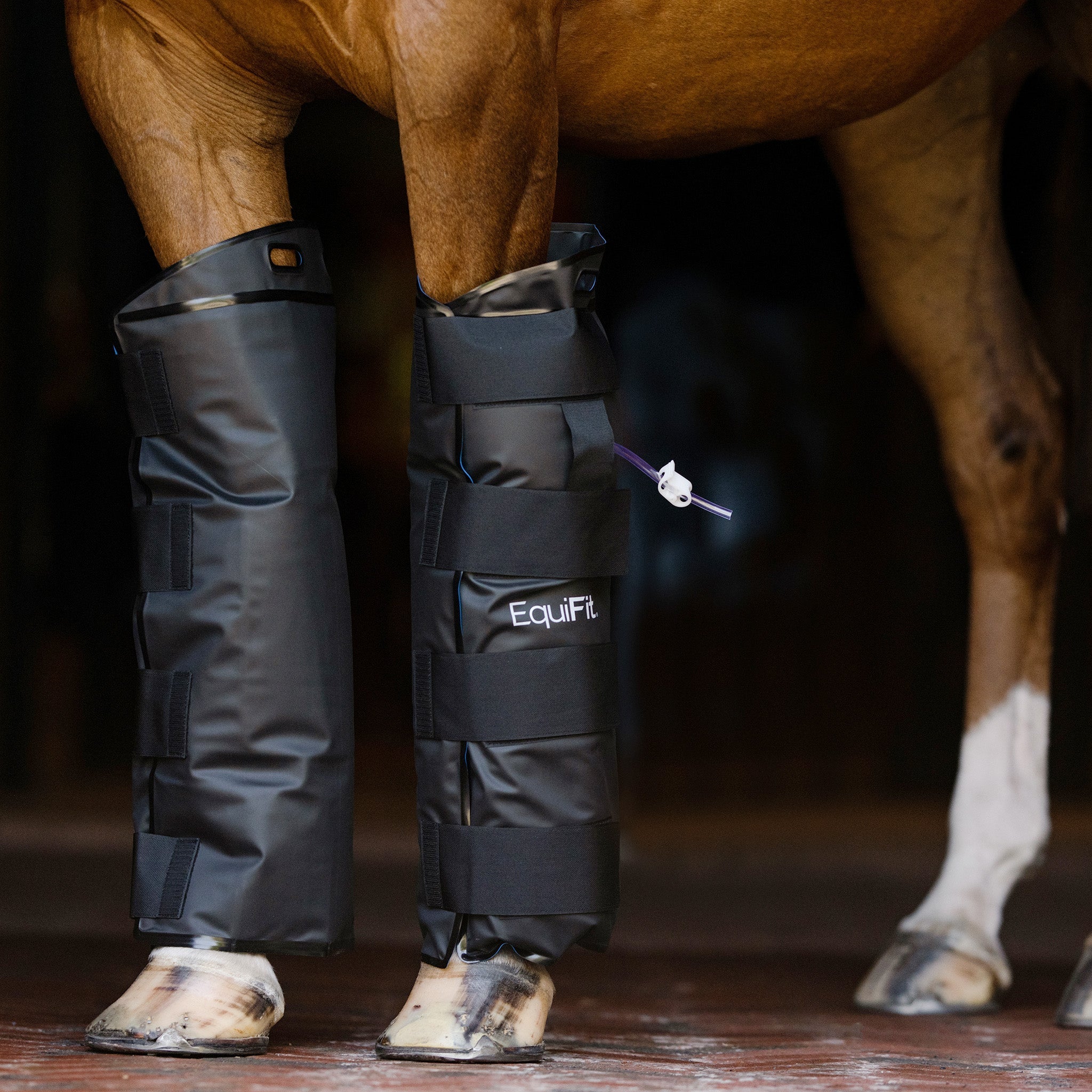 EquiFit® IceAir™ Cold Therapy Boot - EquiFit - Equiluxe Tack