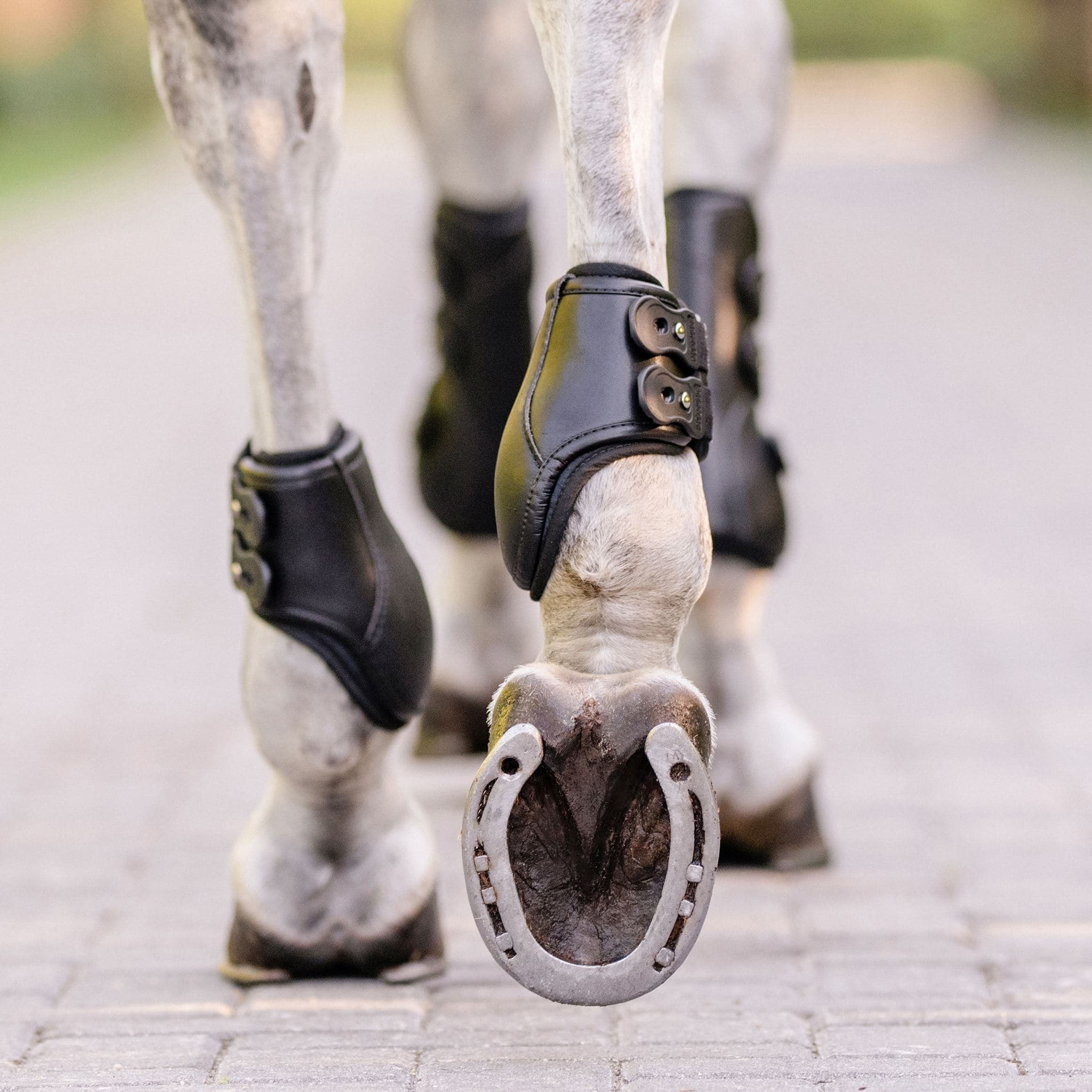 EquiFit® Pony Medal Hind Boot - EquiFit - Equiluxe Tack
