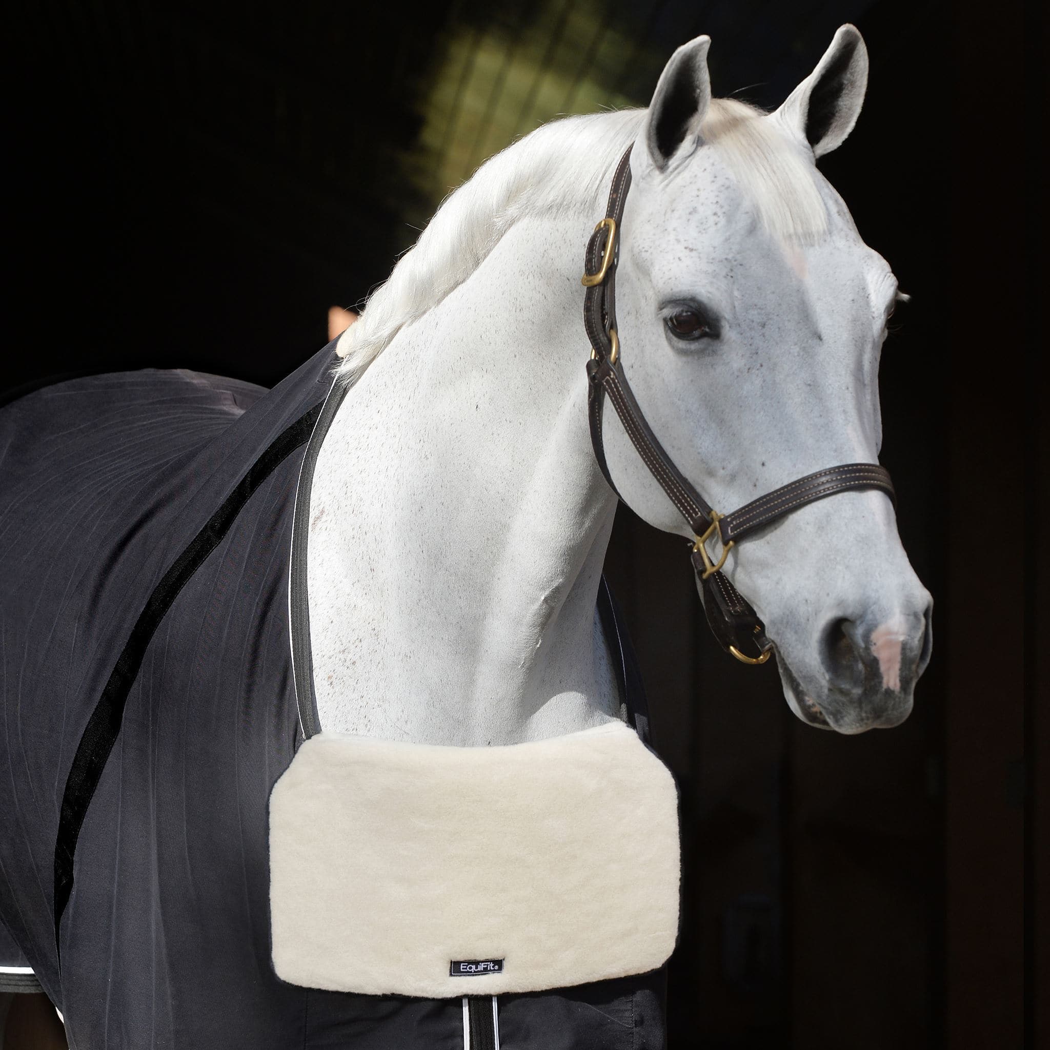 EquiFit® UltraWool™ BlanketBib™ - EquiFit - Equiluxe Tack