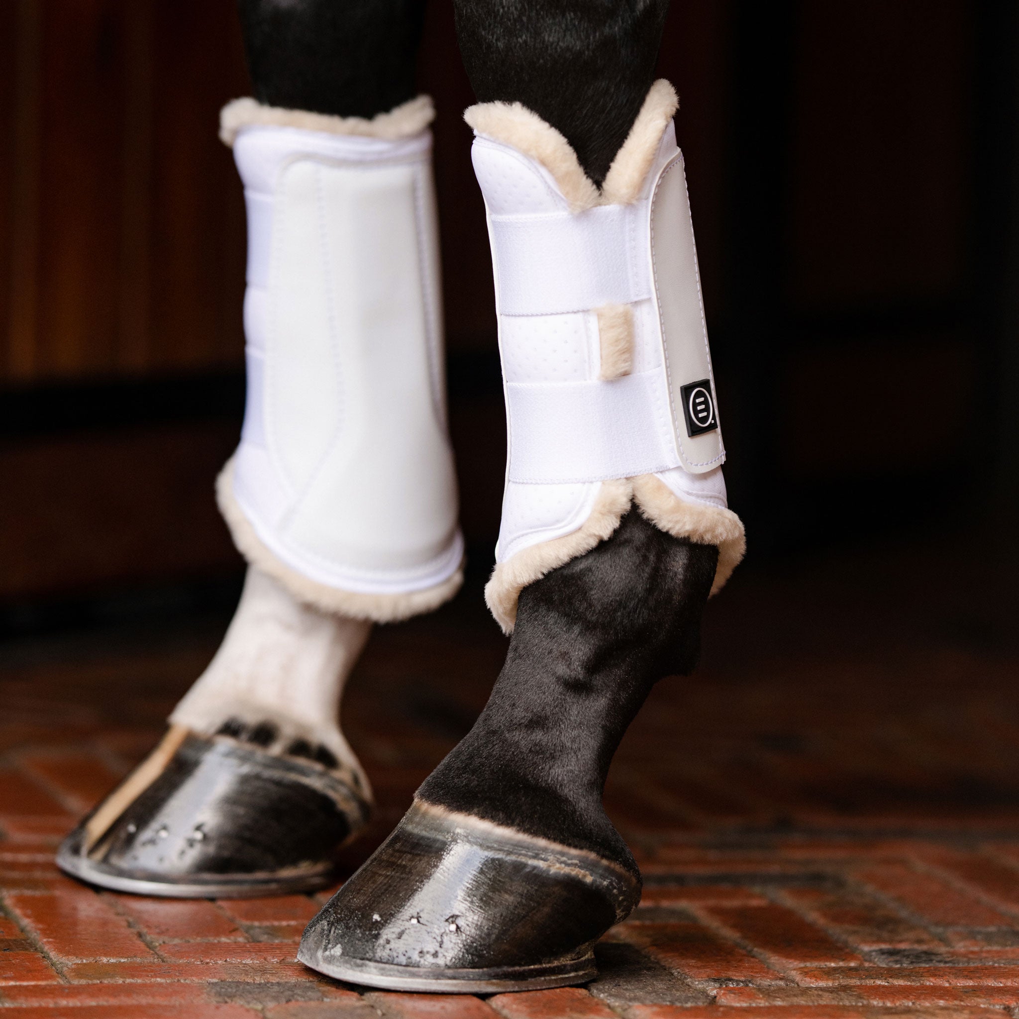 EquiFit® UltraWool™ Essential® EveryDay™ Front Boot - EquiFit - Equiluxe Tack