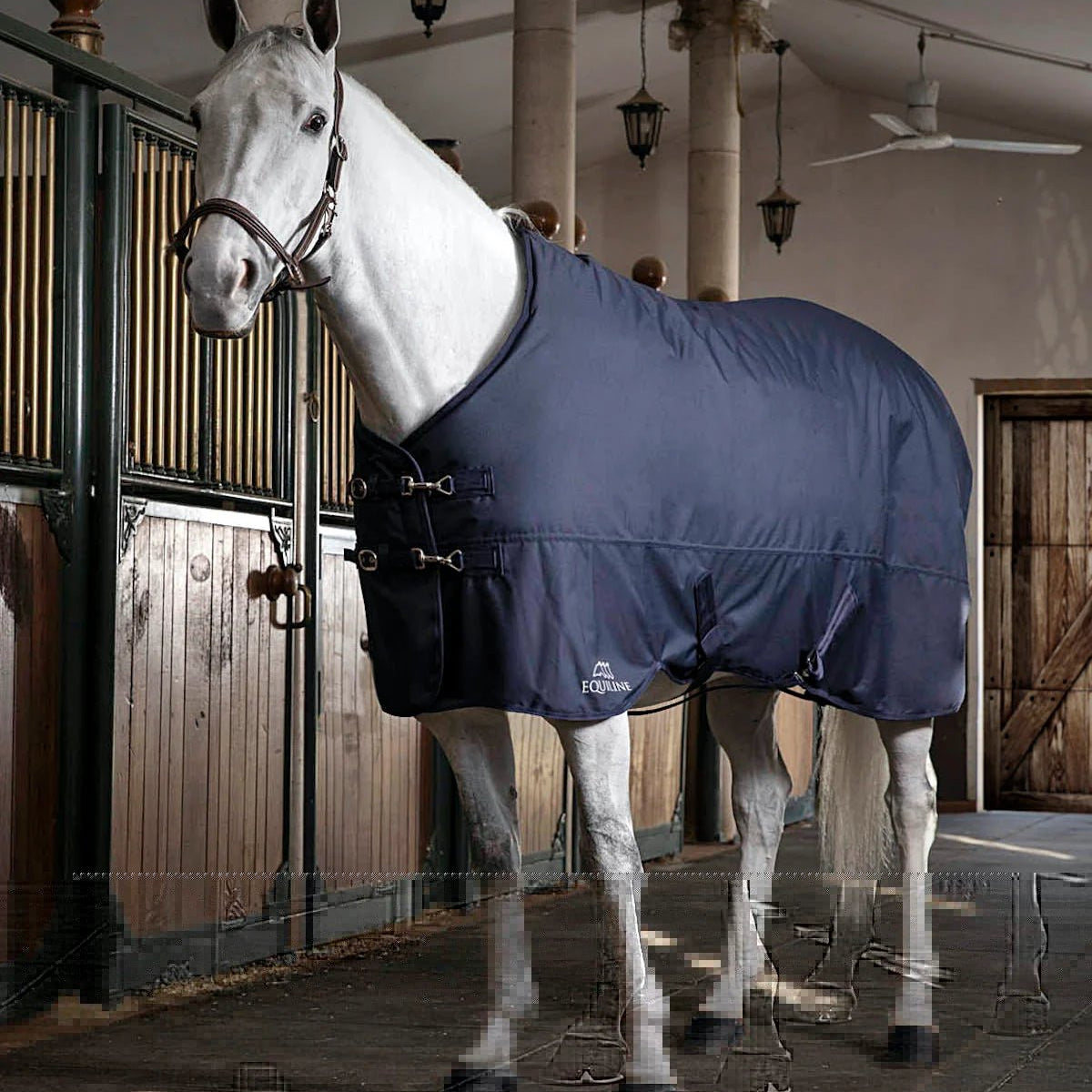 Equiline Anthea Heavyweight Stable Blanket (400g) - Equiline - Equiluxe Tack