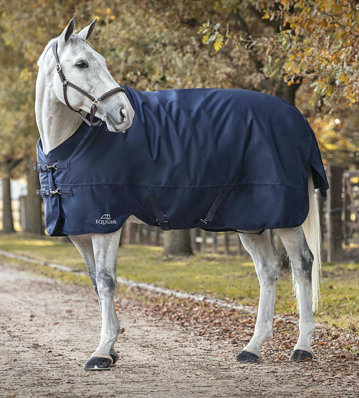 Equiline Calantha Medium Weight Turnout Blanket (200g) - Equiline - Equiluxe Tack