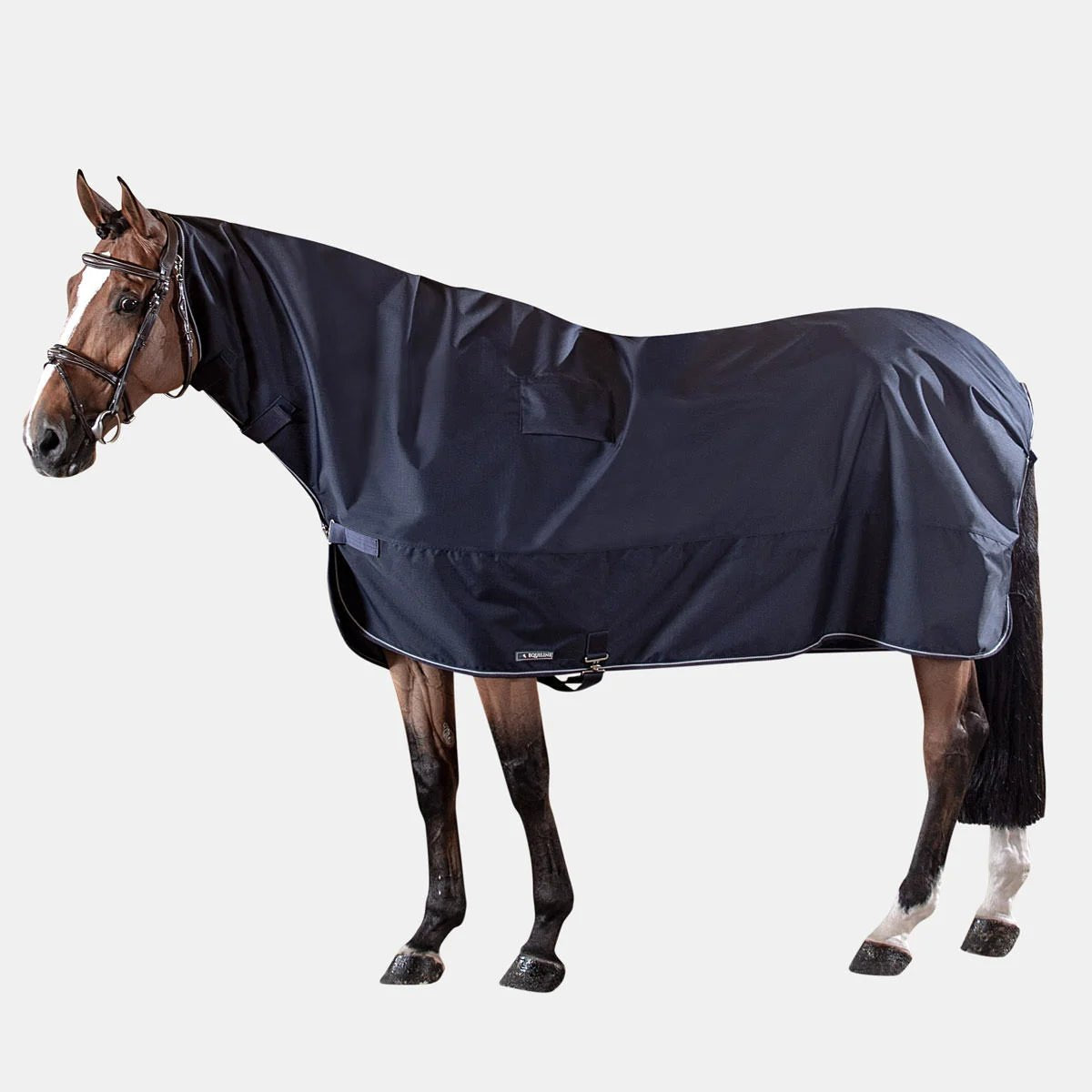 Equiline Corby Waterproof Full Neck Rain Sheet - Equiline - Equiluxe Tack