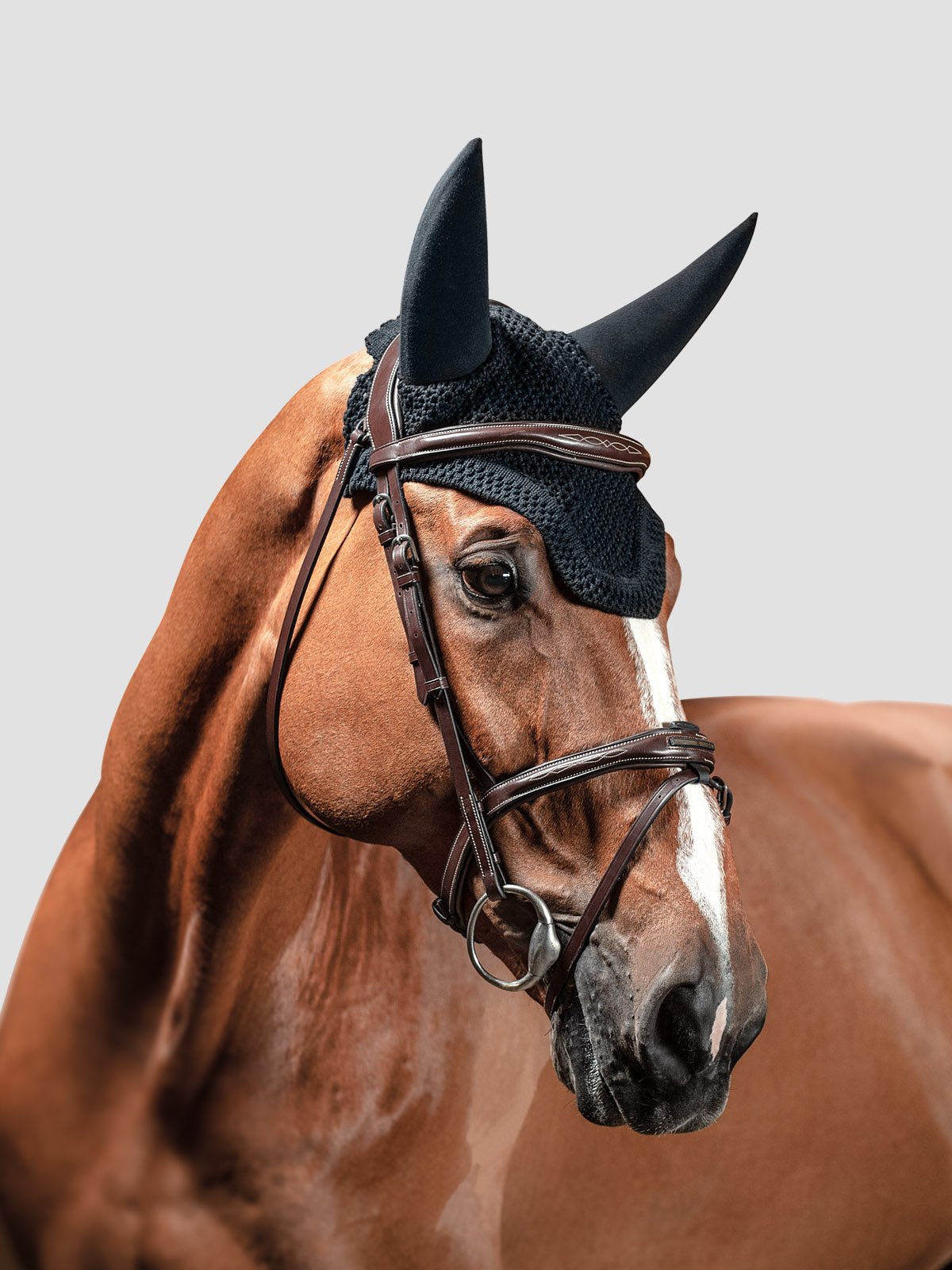 Equiline Dave Soundproof Ear Net - Black - Equiline - Equiluxe Tack