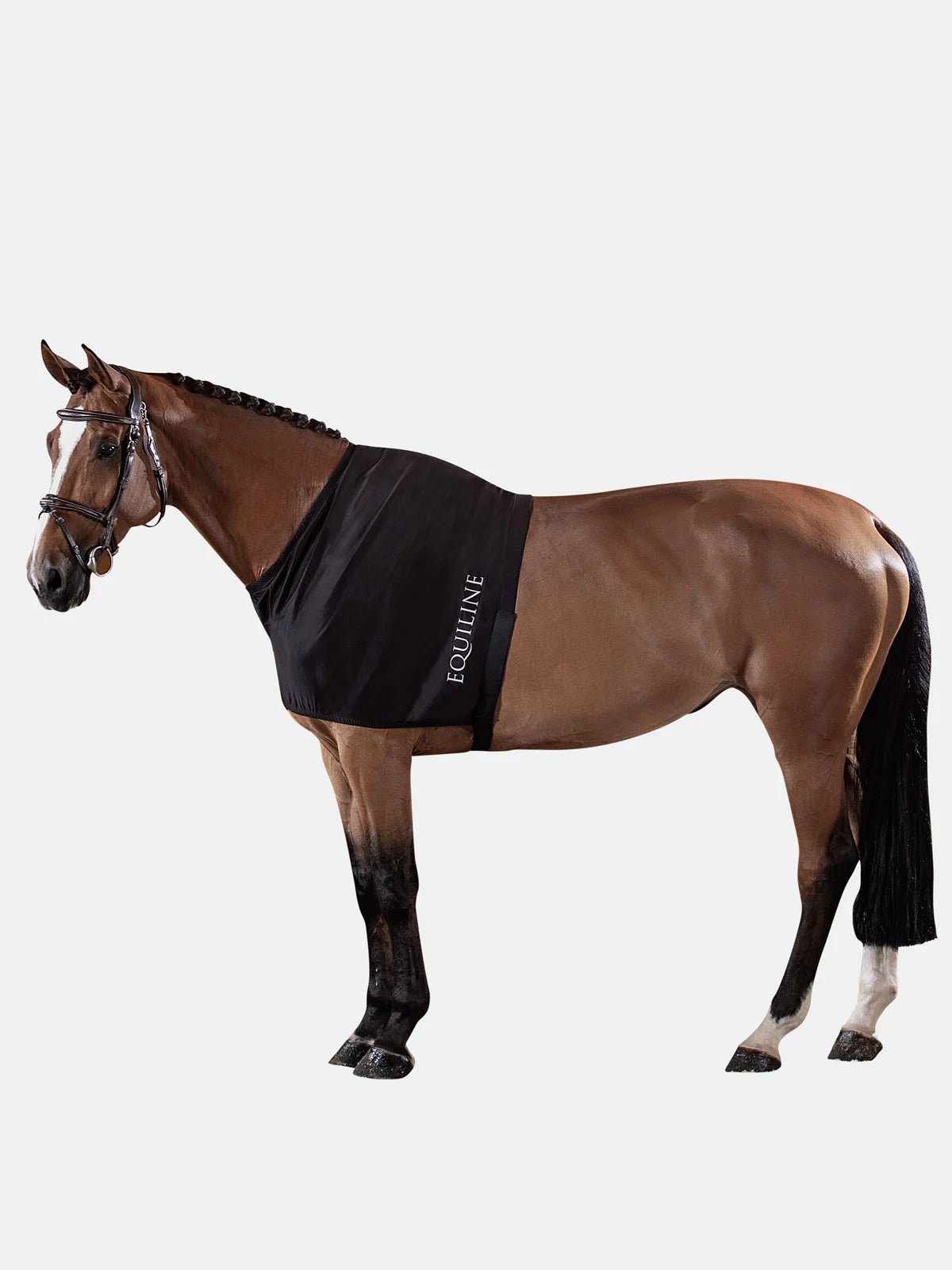 Equiline Edinburgh Shoulder Guard - Equiline - Equiluxe Tack