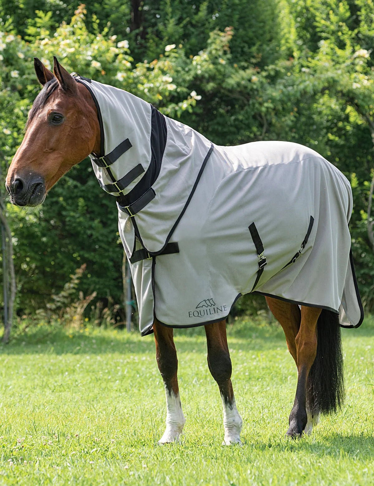 Equiline Lemonfly Fly Sheet w/ Detachable Neck - Equiline - Equiluxe Tack
