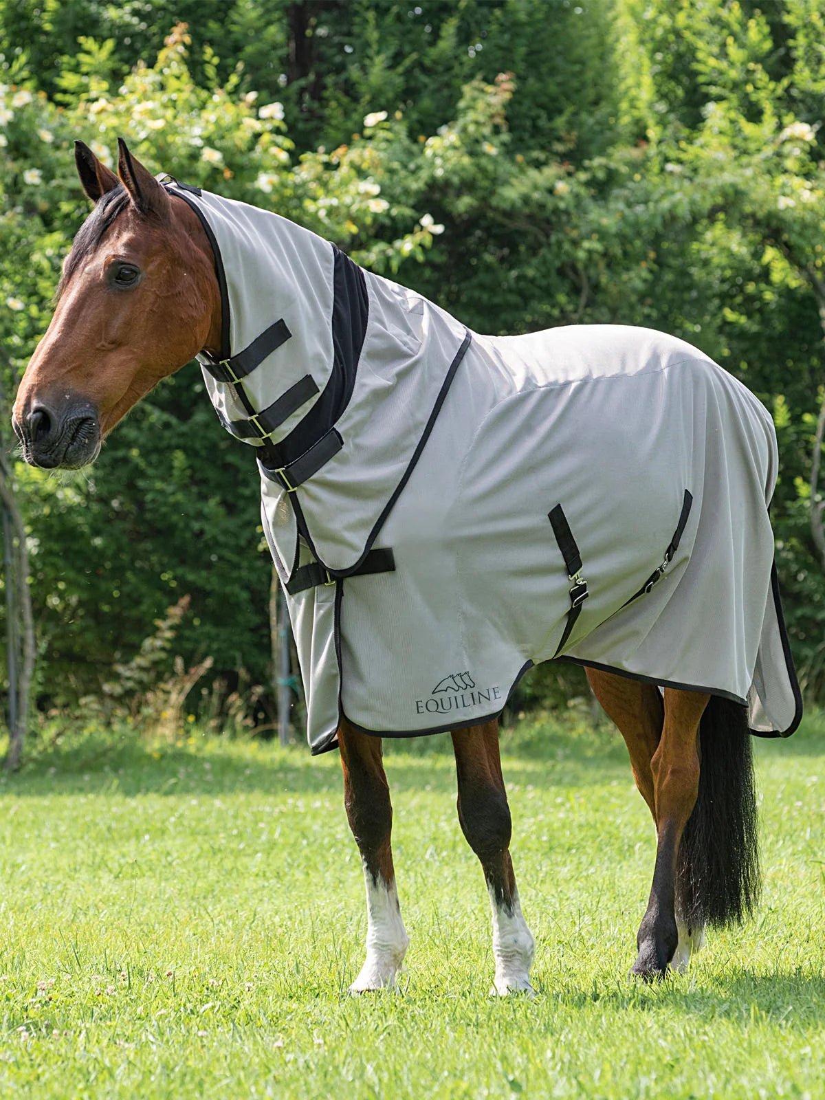 Equiline Lemonfly Fly Sheet w/ Detachable Neck - Equiline - Equiluxe Tack