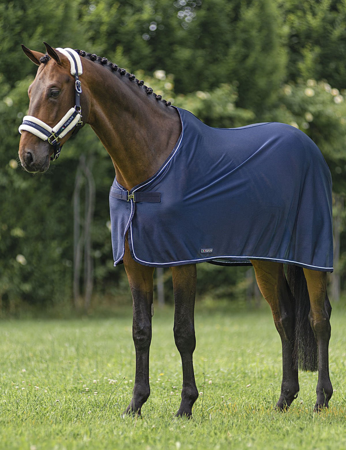Equiline Narcisop Horse Scrim Sheet - Equiline - Equiluxe Tack