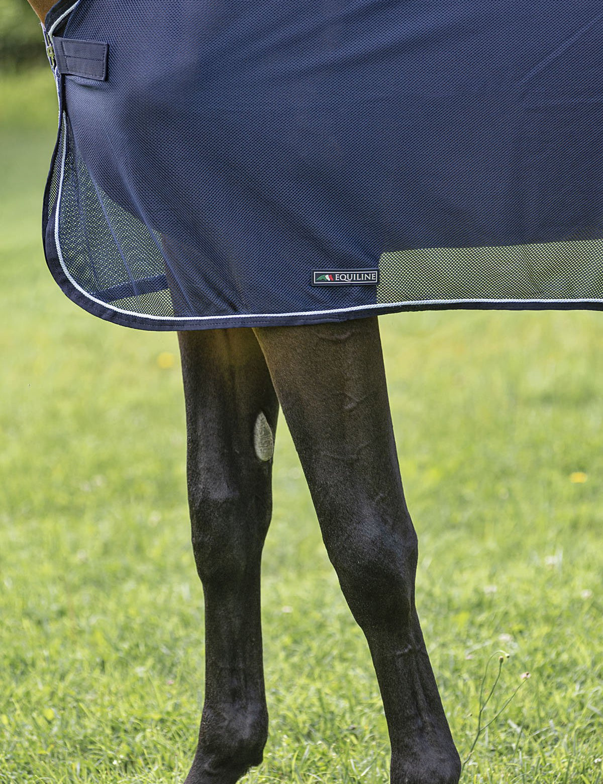 Equiline Narcisop Horse Scrim Sheet - Equiline - Equiluxe Tack
