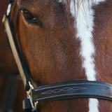 Equiluxe Fancy Stitched Leather Halter - Brass Nickel Hardware - Equiluxe Tack - Equiluxe Tack