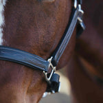 Equiluxe Fancy Stitched Leather Halter - Brass Nickel Hardware - Equiluxe Tack - Equiluxe Tack