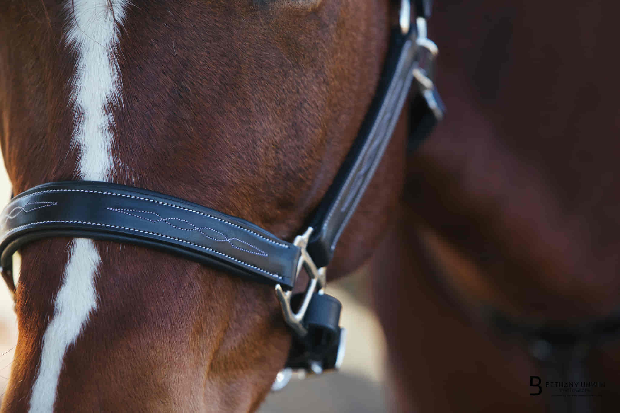 Equiluxe Fancy Stitched Leather Halter - Brass Nickel Hardware - Equiluxe Tack - Equiluxe Tack