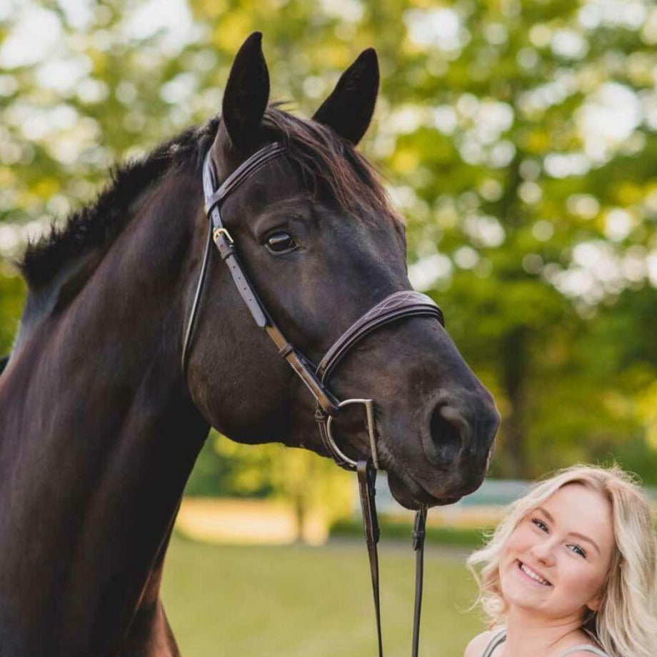 Equiluxe Fancy Stitched Raised Anatomical Hunter Bridle w/ Reins - Equiluxe Tack - Equiluxe Tack