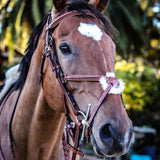 Equiluxe Monocrown Figure 8 Bridle w/ Reins - Equiluxe Tack - Equiluxe Tack