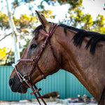 Equiluxe Monocrown Figure 8 Bridle w/ Reins - Equiluxe Tack - Equiluxe Tack