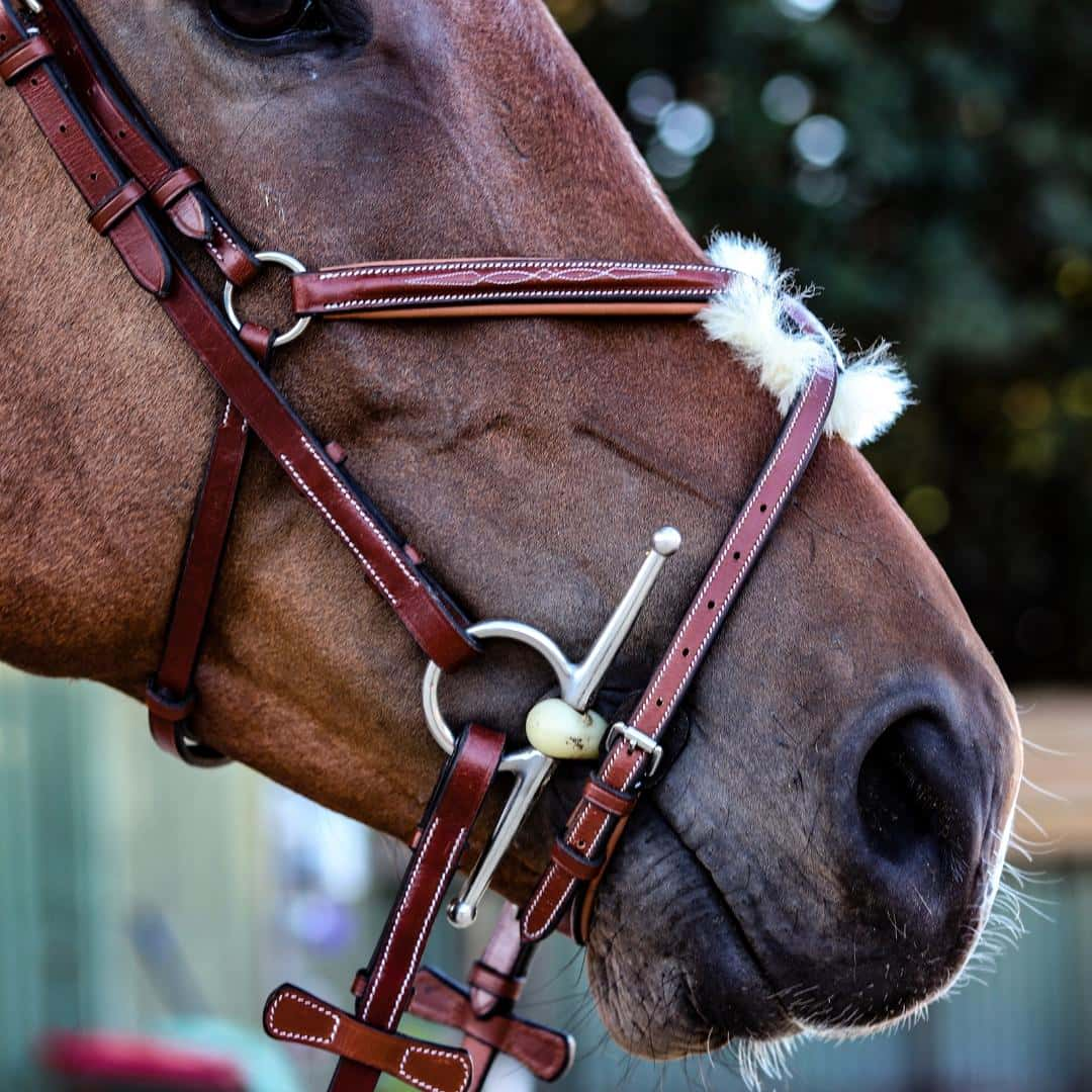 Equiluxe Monocrown Figure 8 Bridle w/ Reins - Equiluxe Tack - Equiluxe Tack