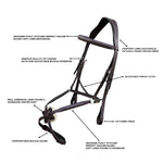 Equiluxe Padded Monocrown Figure 8 Bridle & Reins - CLEARANCE - Equiluxe Tack - Equiluxe Tack