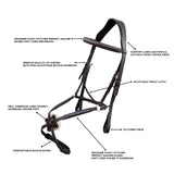 Equiluxe Padded Monocrown Figure 8 Bridle & Reins - CLEARANCE - Equiluxe Tack - Equiluxe Tack