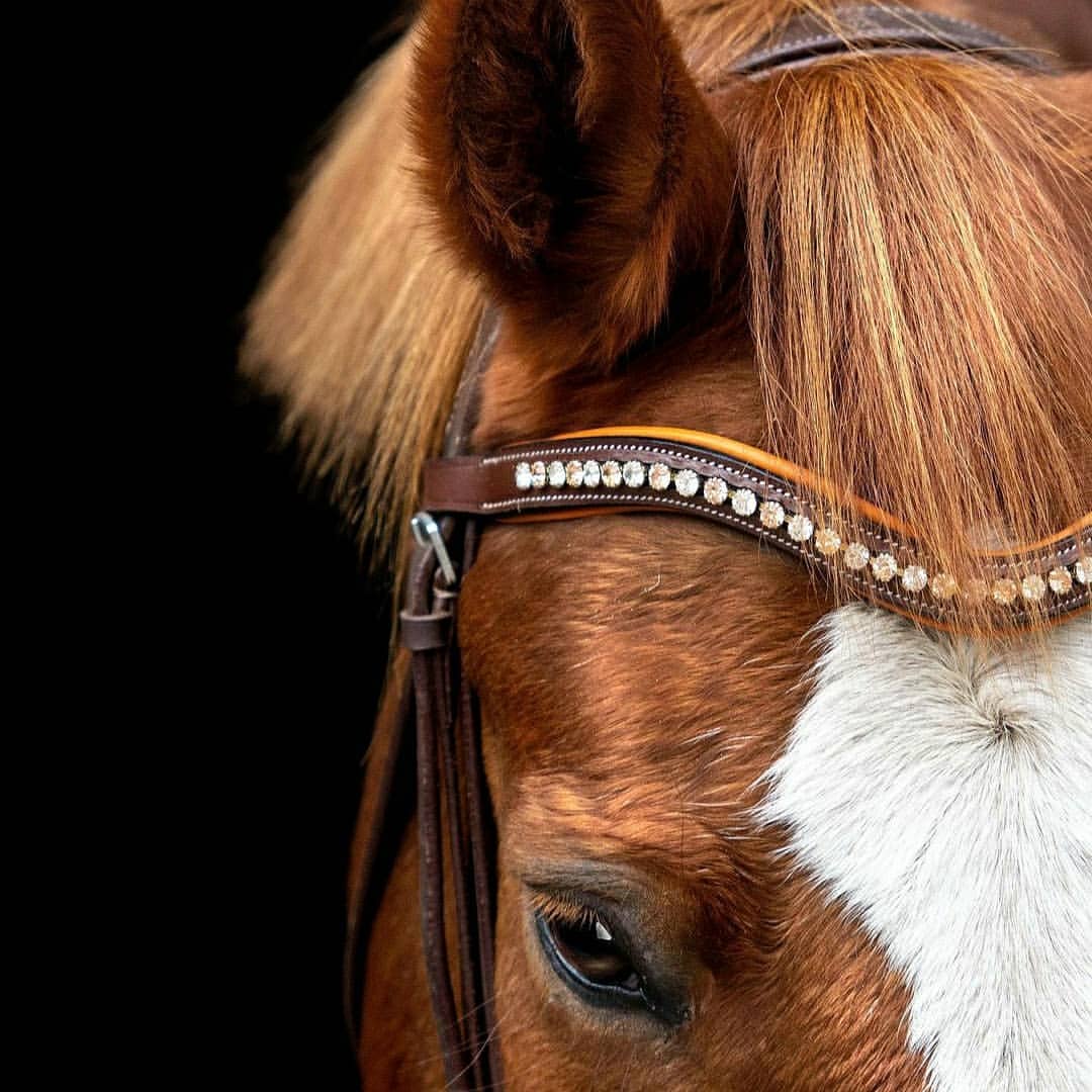 Equiluxe Padded Peach & Clear Crystal Browband - Equiluxe Tack - Equiluxe Tack