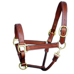 Equiluxe Triple Stitched Leather Halter - Brass Hardware - Equiluxe Tack - Equiluxe Tack