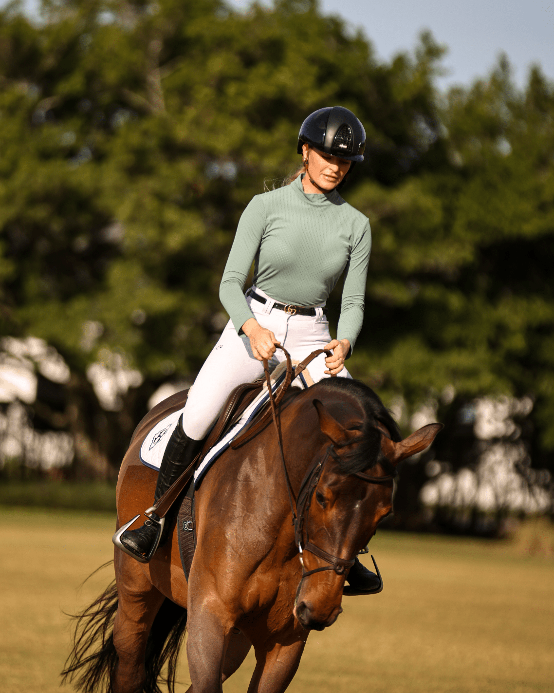Equisite Alesia Shirt - Equisite - Equiluxe Tack