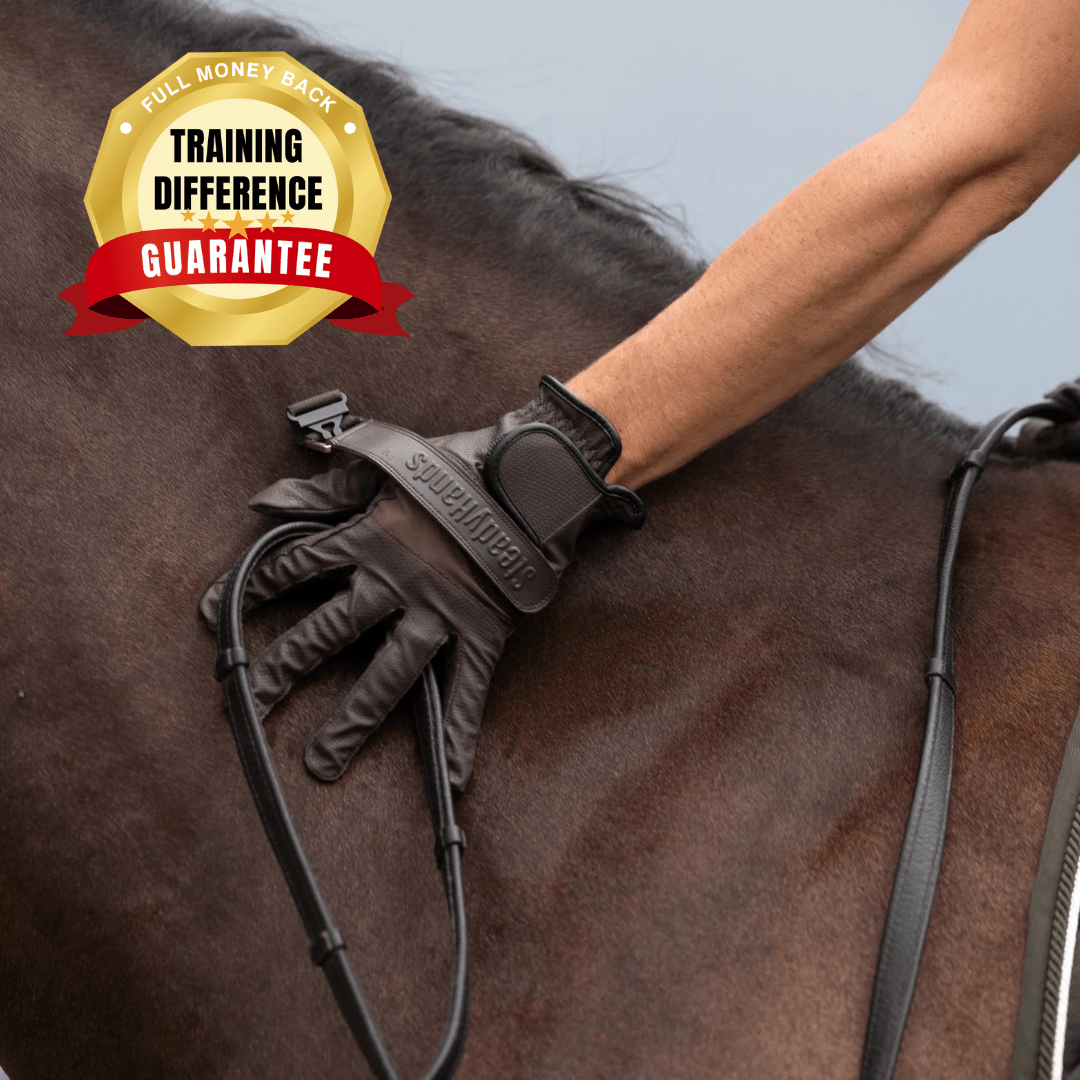 Equisk SteadyHands Riding Gloves - BROWN - Equisk - Equiluxe Tack