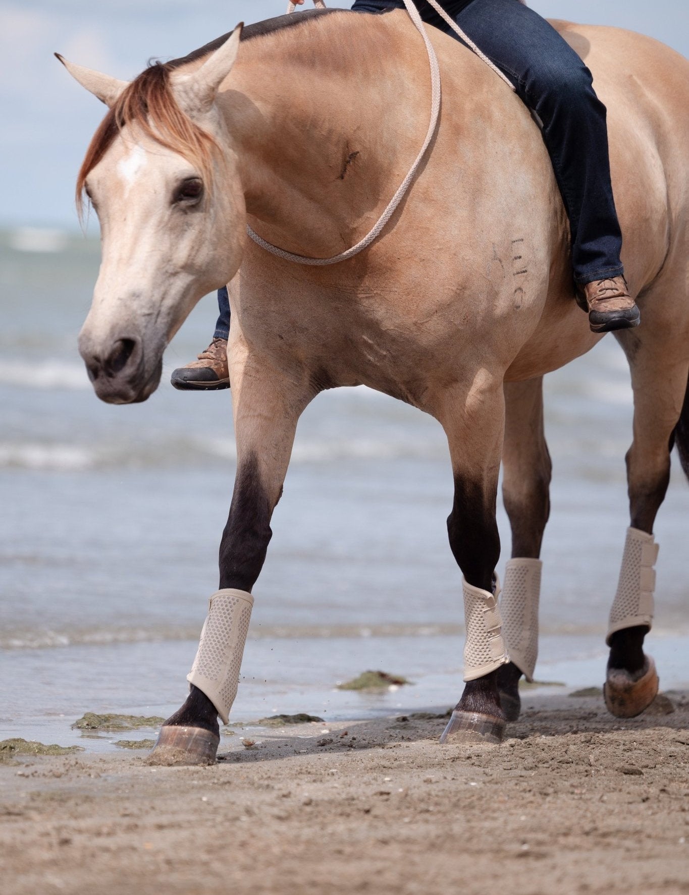 Equisk TotalCool Brushing Boot - EQUISK - Equiluxe Tack