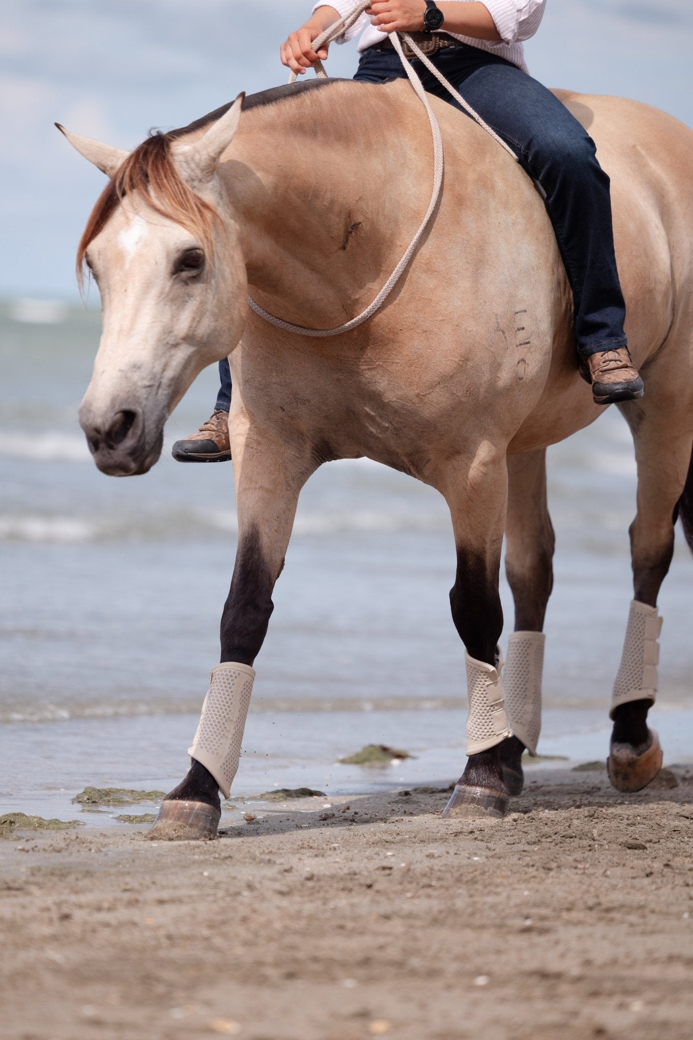 Equisk TotalCool Brushing Boot - EQUISK - Equiluxe Tack