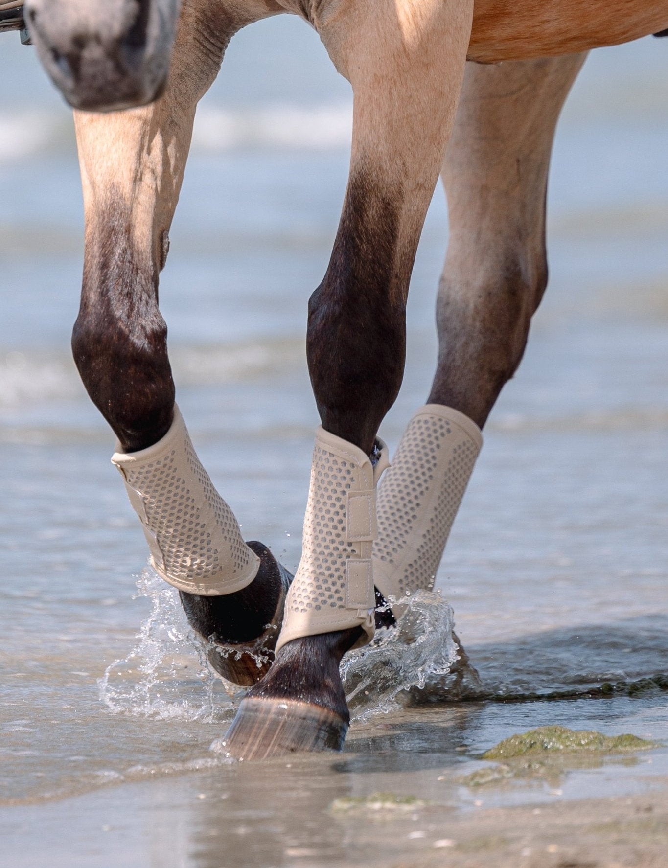 Equisk TotalCool Brushing Boot - EQUISK - Equiluxe Tack