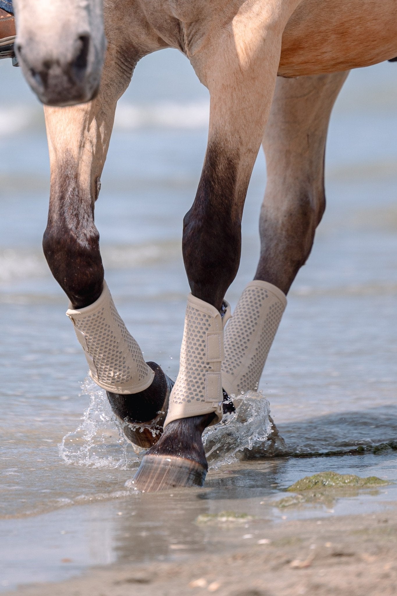 Equisk TotalCool Brushing Boot - EQUISK - Equiluxe Tack