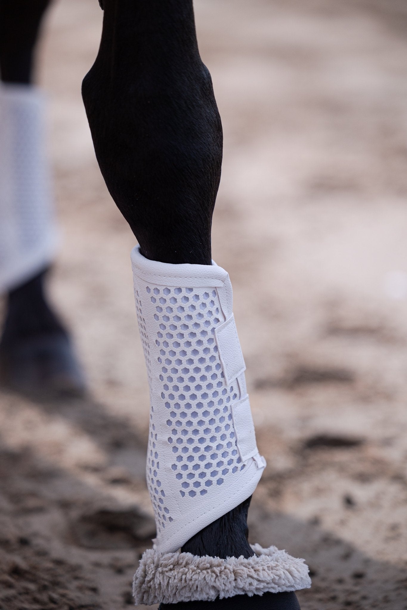 Equisk TotalCool Brushing Boot - EQUISK - Equiluxe Tack
