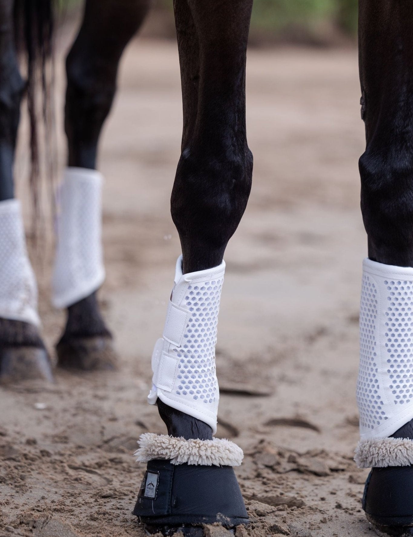 Equisk TotalCool Brushing Boot - EQUISK - Equiluxe Tack