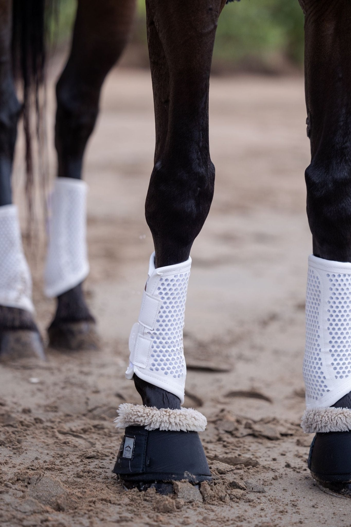 Equisk TotalCool Brushing Boot - EQUISK - Equiluxe Tack