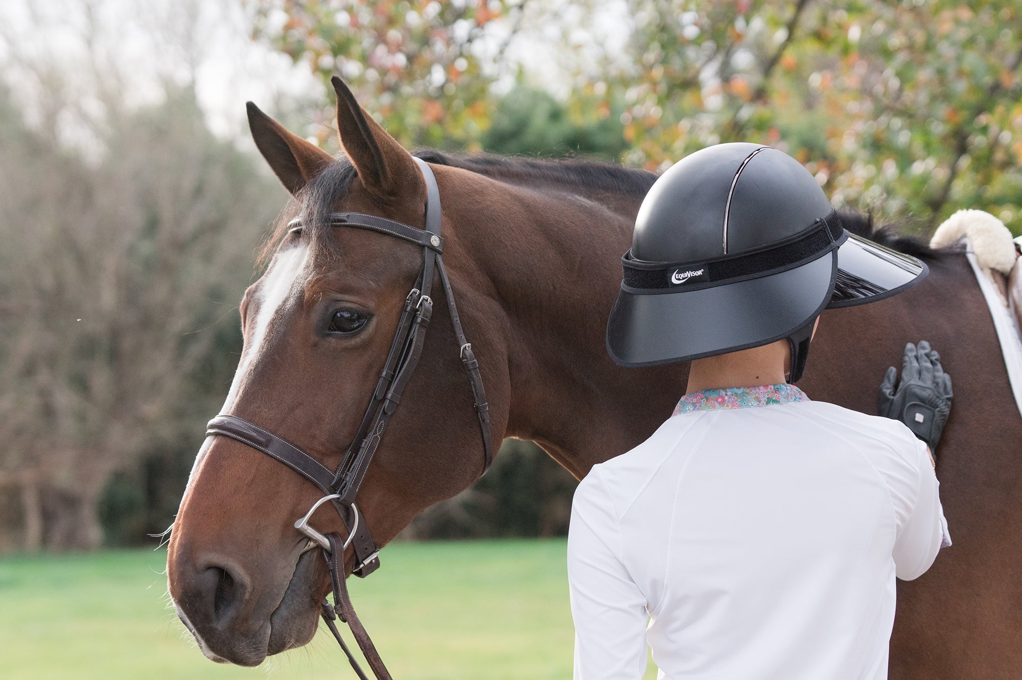 EquiVisor® Vue Complete 4.5" - EquiVisor® - Equiluxe Tack