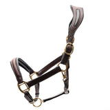 Ergonomic Halter with Black Padding - CorrectConnect - Equiluxe Tack