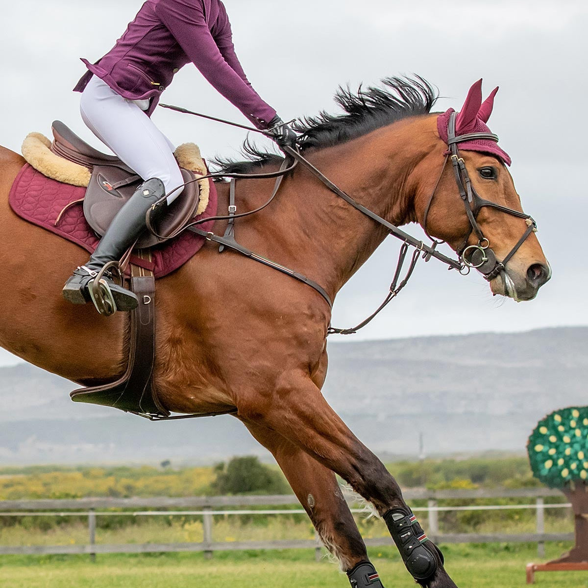 Espoir Inspire Mesh Show Jacket Plum - Espoir Equestrian - Equiluxe Tack