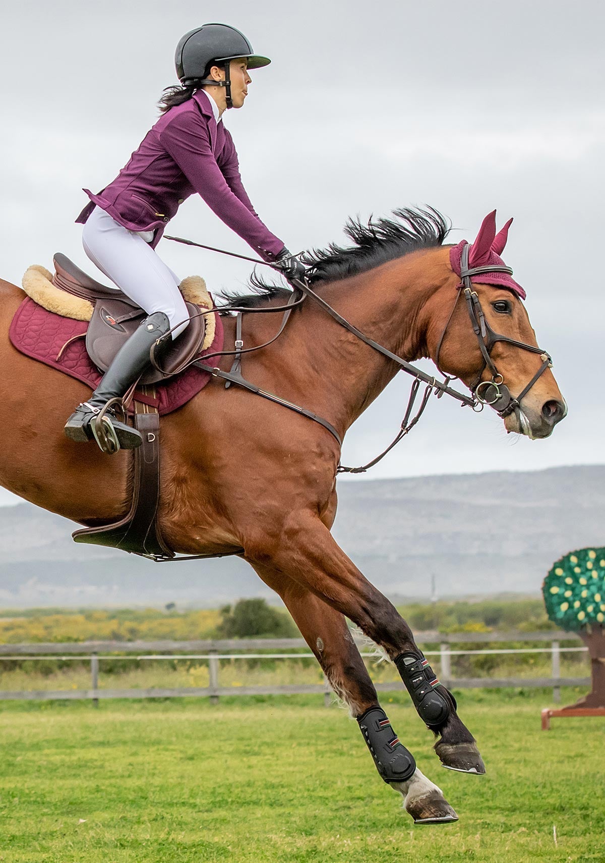 Espoir Inspire Mesh Show Jacket Plum - Espoir Equestrian - Equiluxe Tack