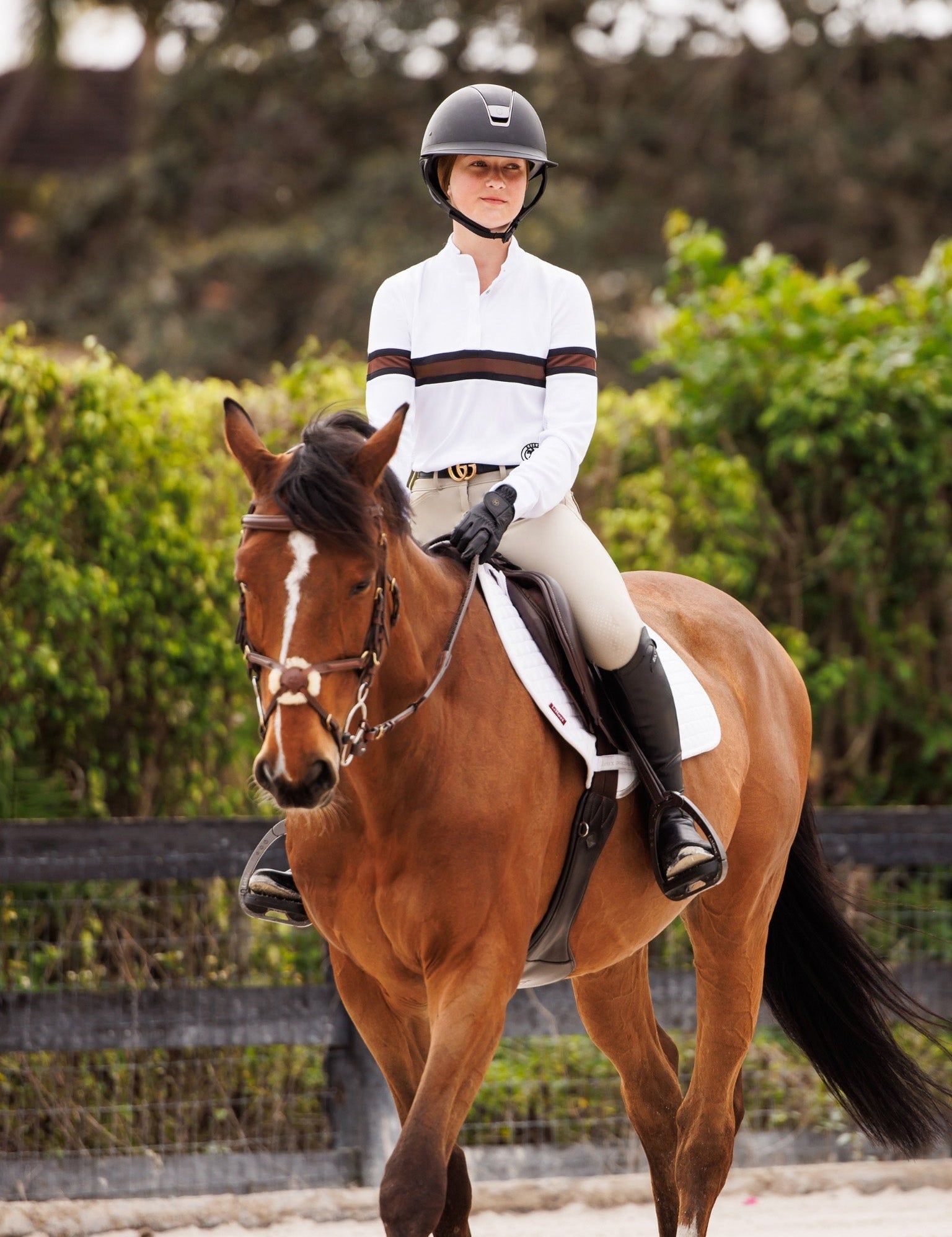 Essex Classics Cambridge Ladies Long Sleeve Show Shirt - White with Black & Chocolate - Equiluxe Tack
