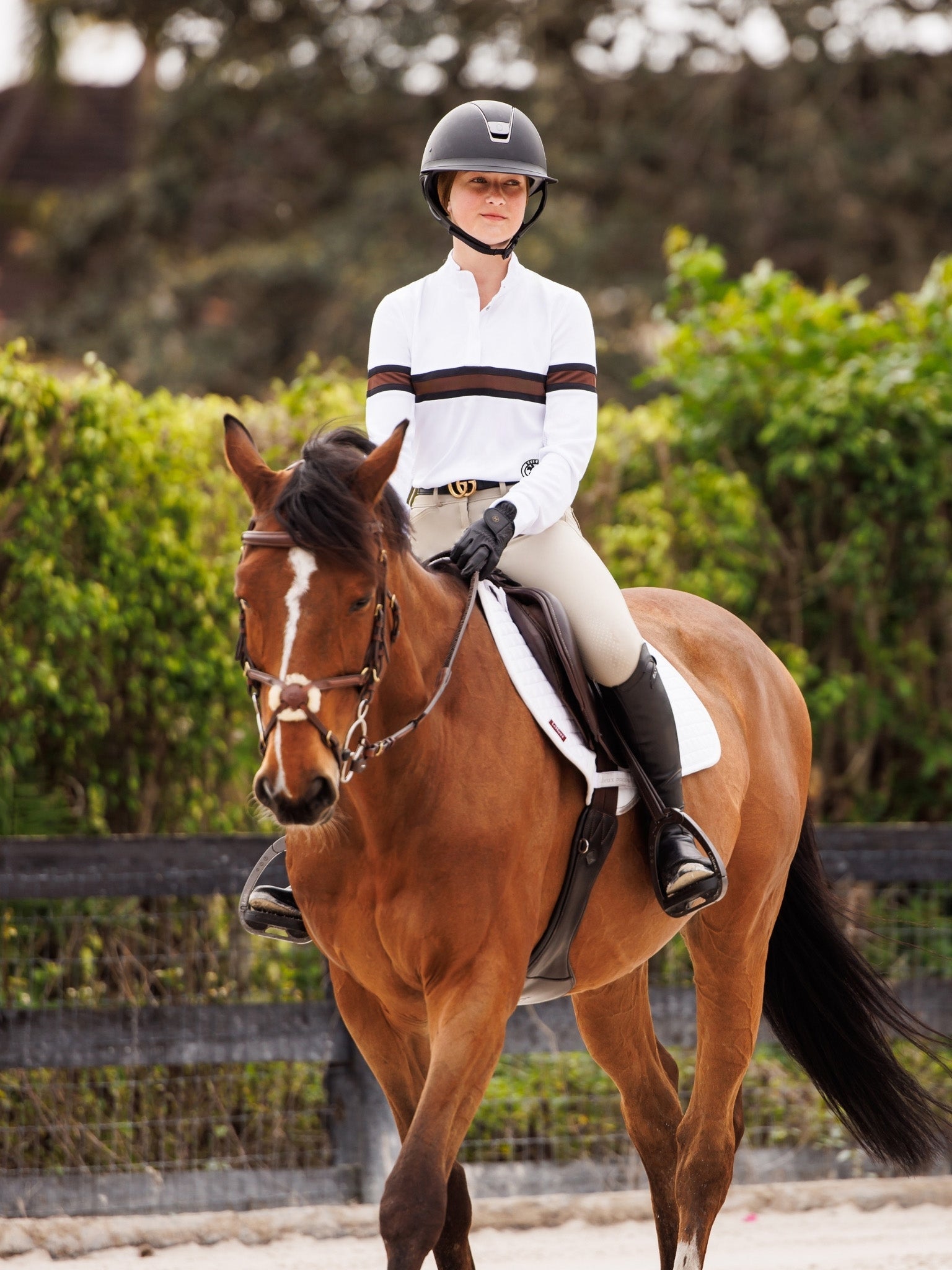 Essex Classics Cambridge Ladies Long Sleeve Show Shirt - White with Black & Chocolate - Equiluxe Tack