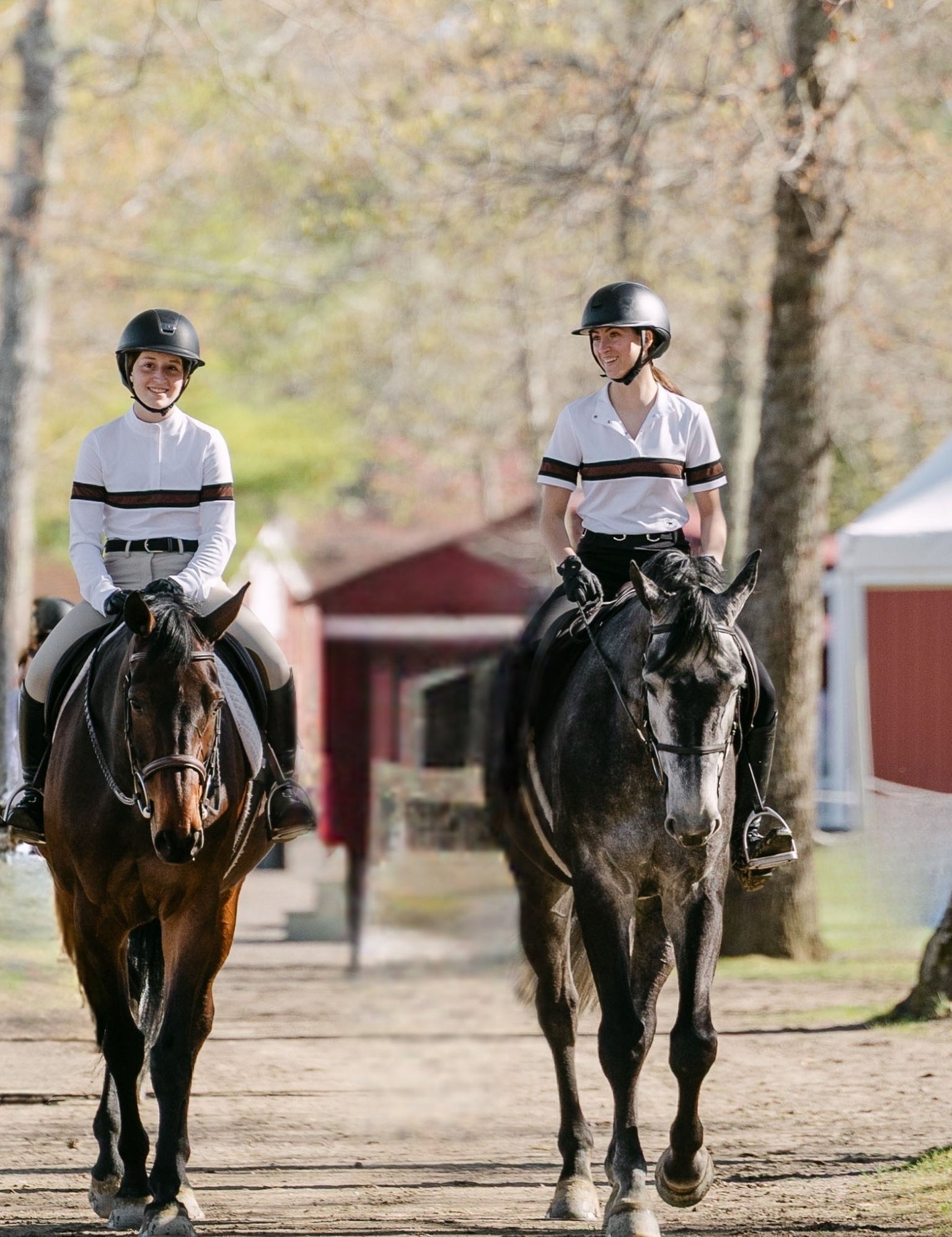 Essex Classics Cambridge Ladies Short Sleeve Show Shirt - White with Black & Chocolate - Equiluxe Tack
