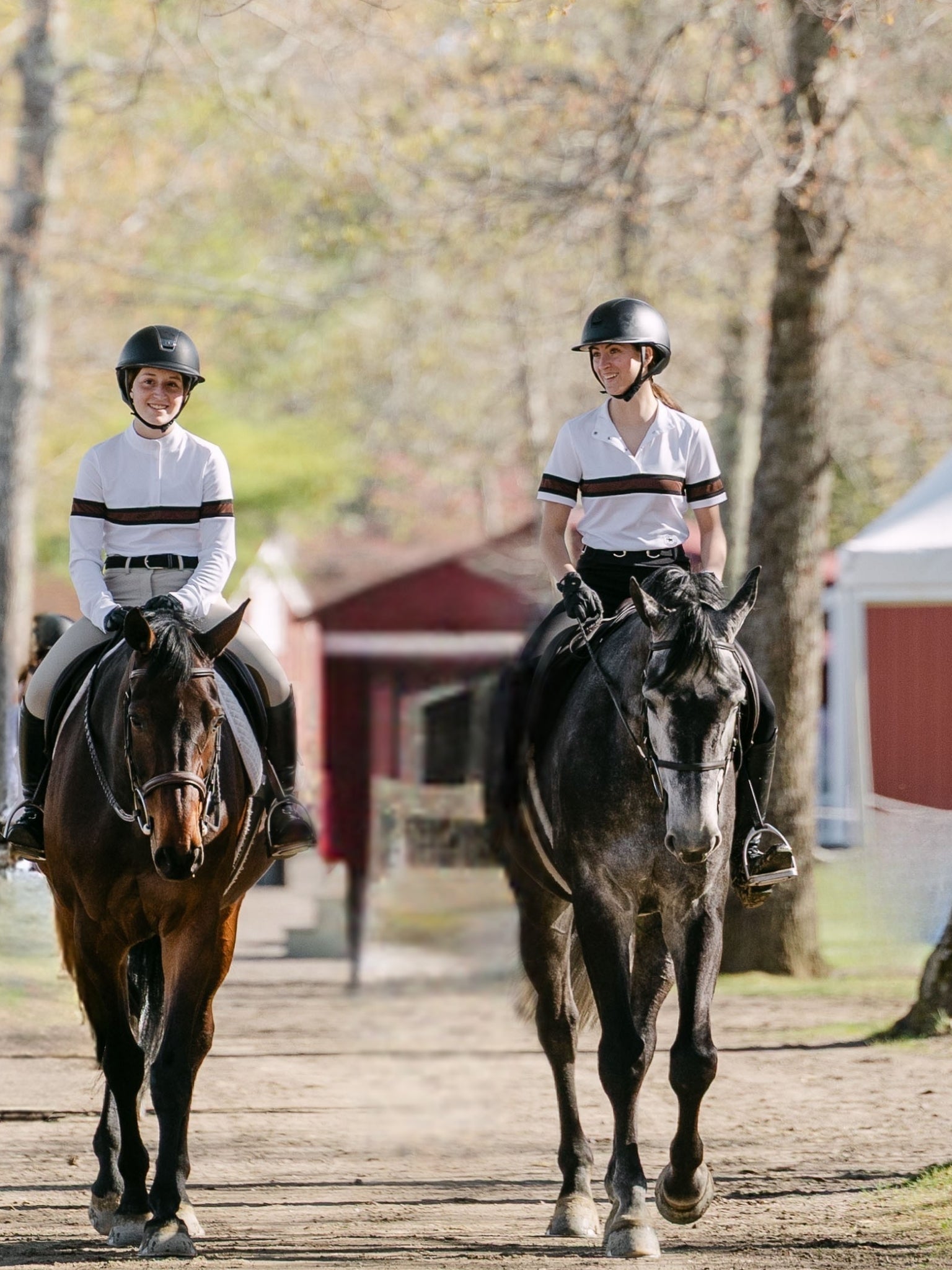 Essex Classics Cambridge Ladies Short Sleeve Show Shirt - White with Black & Chocolate - Equiluxe Tack