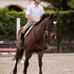 Essex Classics Cambridge Men's Short Sleeve Show Shirt - White - Equiluxe Tack