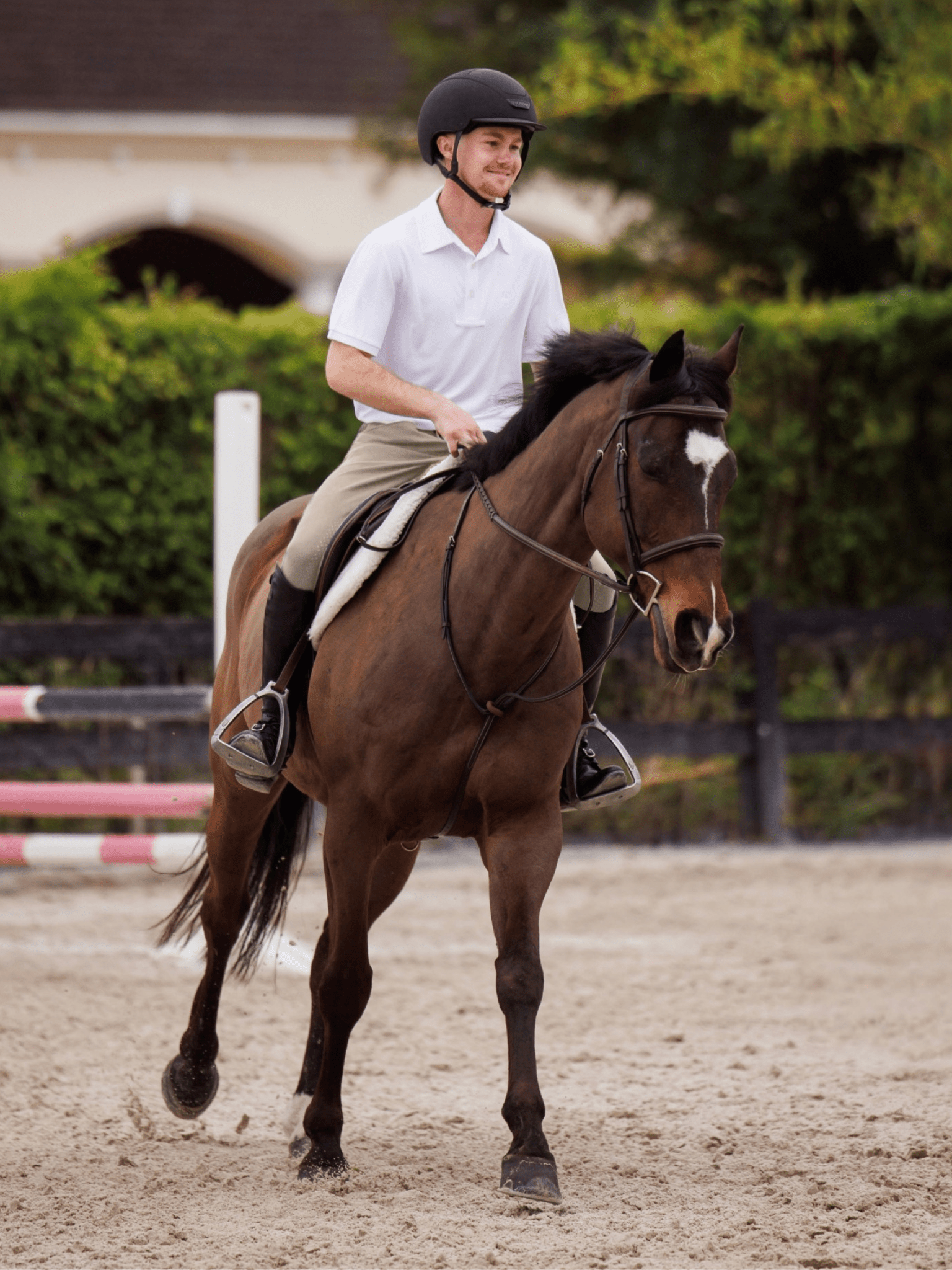 Essex Classics Cambridge Men's Short Sleeve Show Shirt - White - Equiluxe Tack